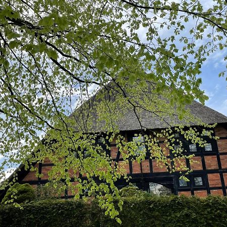 Ferienwohnung St. Dionyser Heidedorf Sankt Dionys Buitenkant foto